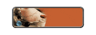 Online Health Tools